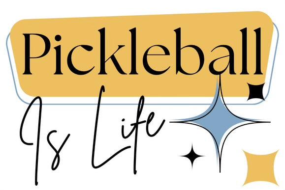 Mastering the Dink Shot in Pickleball 2: Strategy and Techniques for Success